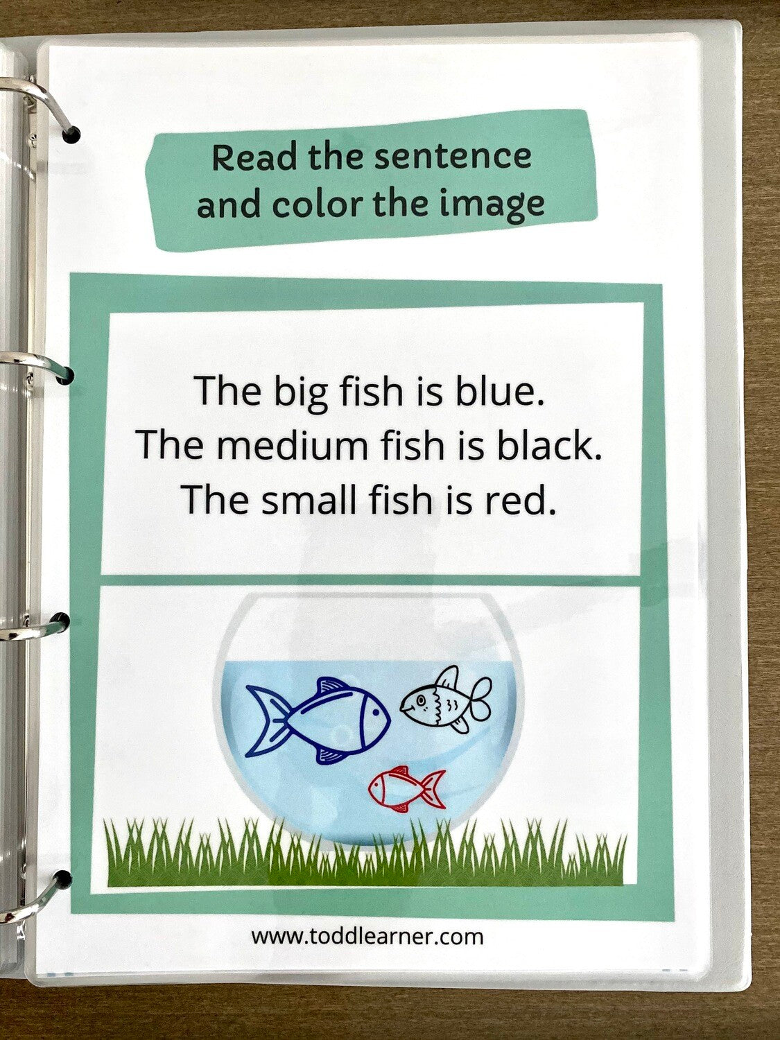 Level 2 Learning Binder for Kindergarten and Early Education: Reading, Writing, and Activity Worksheets