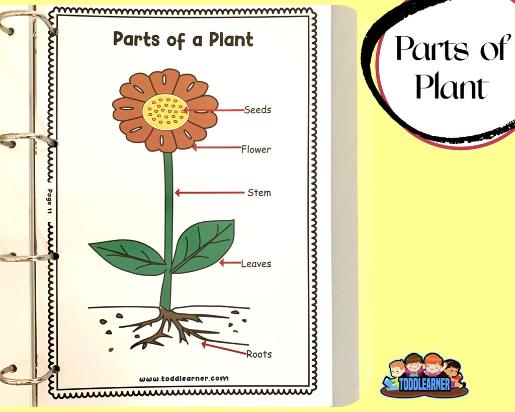 Deals @199 - Add on learning Binder (Laminated Version)