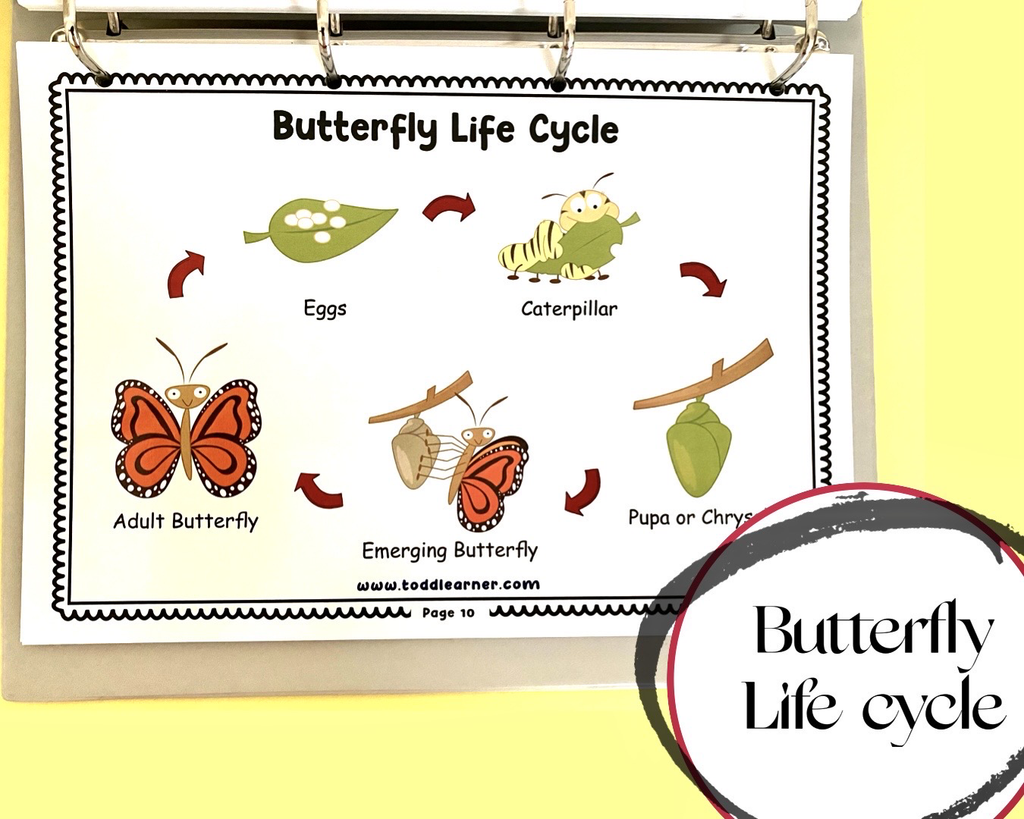 Add on learning Binder (Laminated Version)