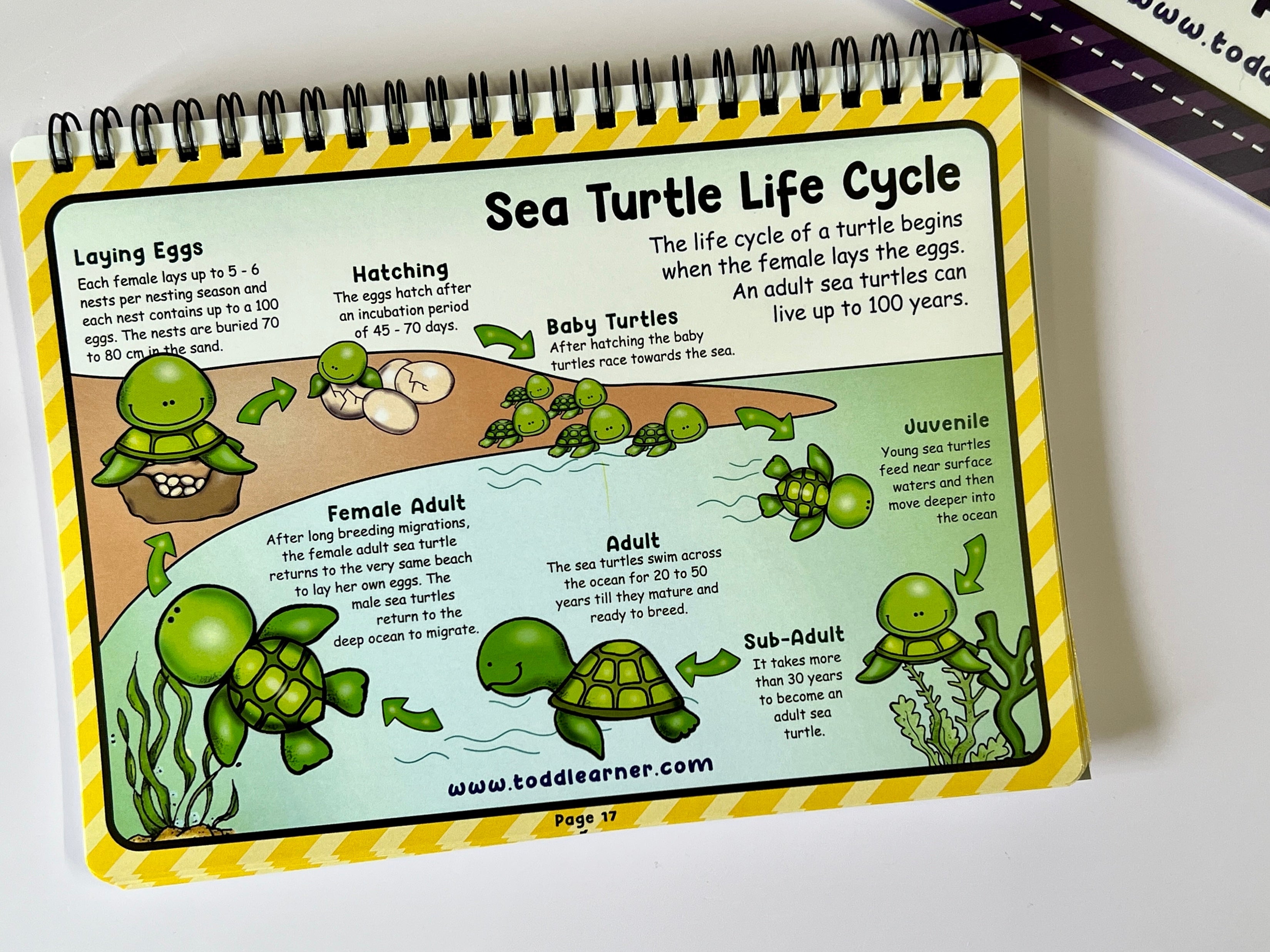 Deals @199 - Learning Life Science Part 1 and Part 2 Bundle for Children