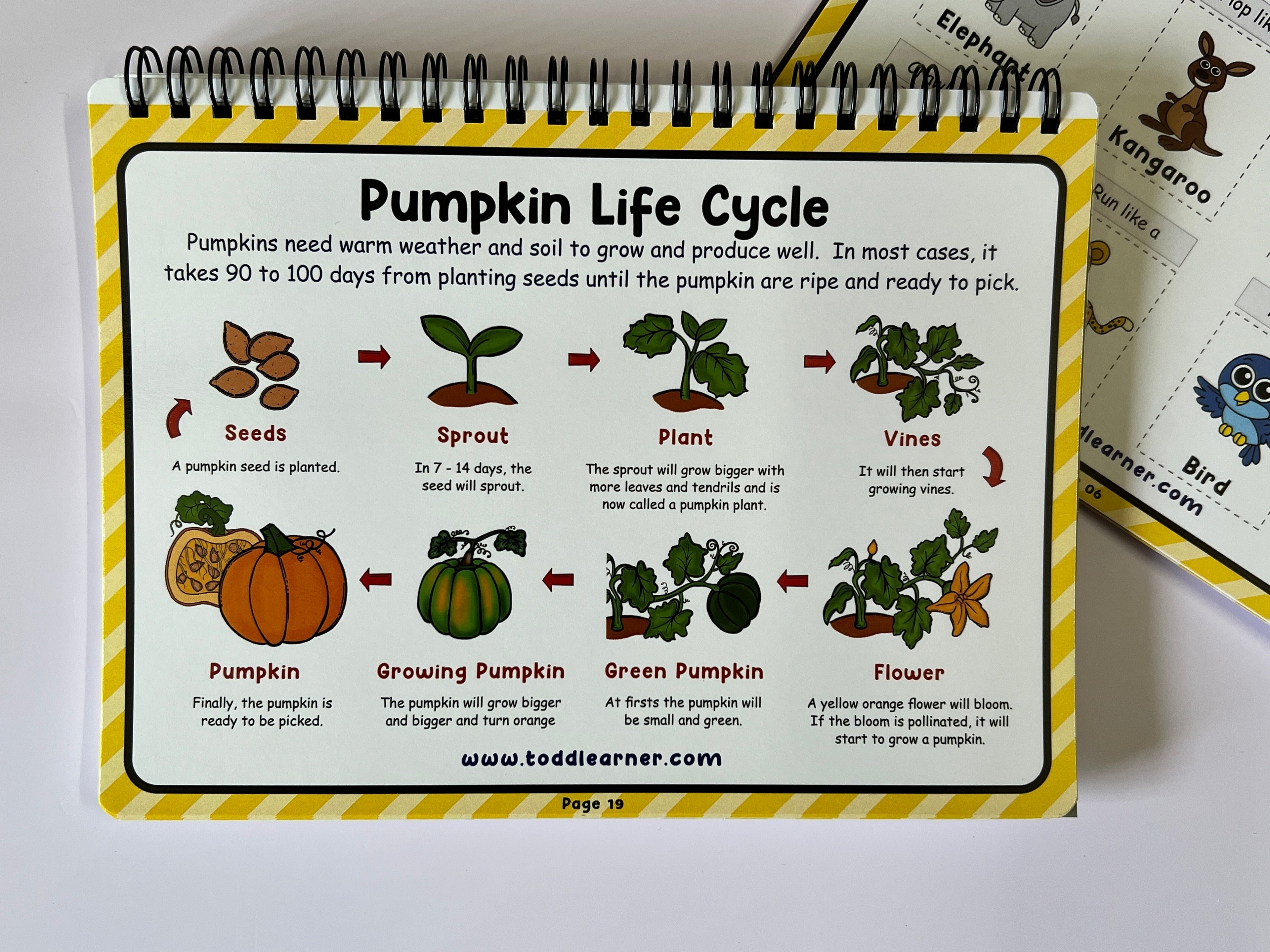 Deals @199 - Learning Life Science Part 1 and Part 2 Bundle for Children