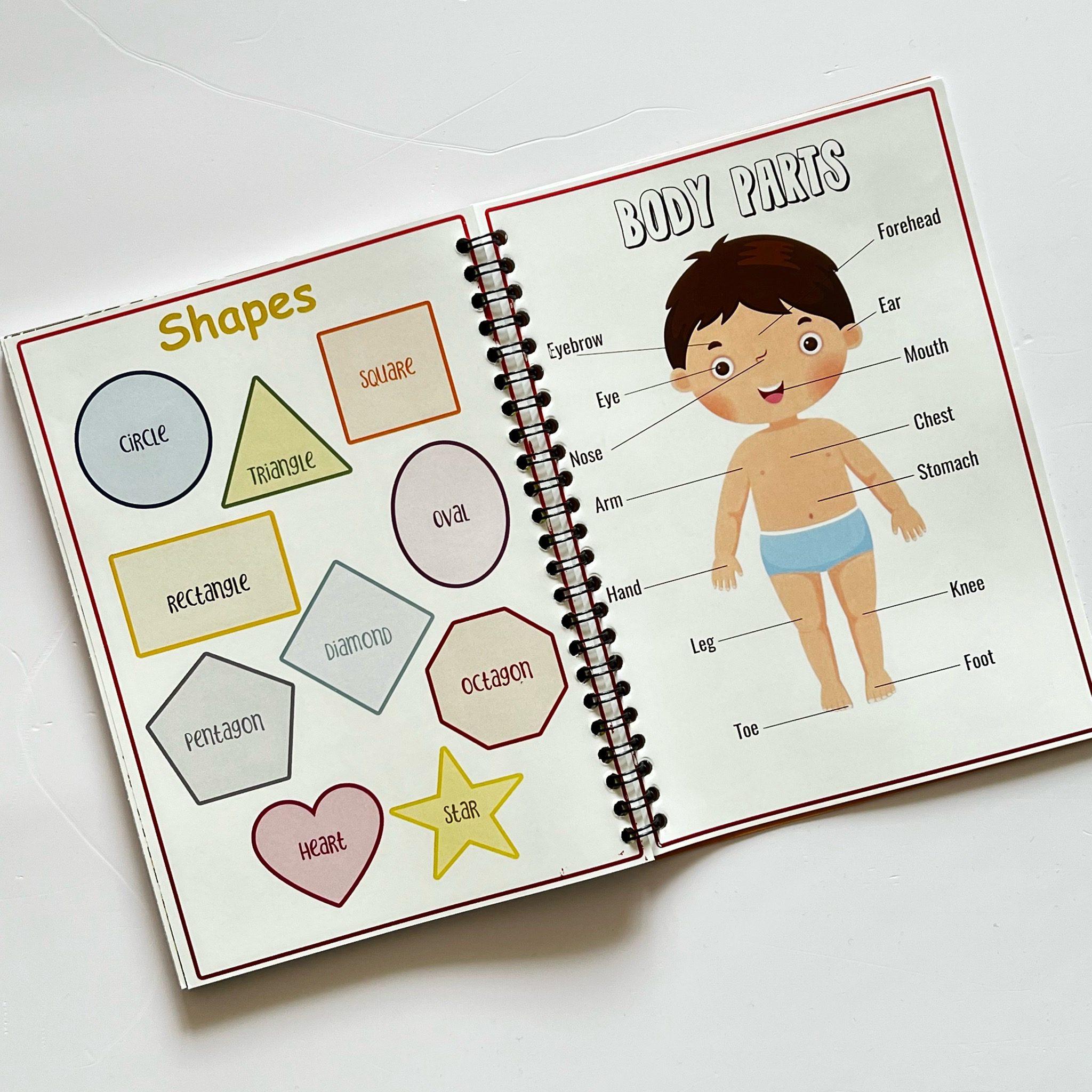 All In One Kindergarten Learning Book for Kids.